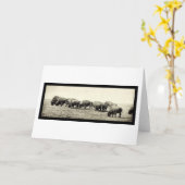 American Bison Buffalo Photo 1906 Karte (Gelbe Blume)