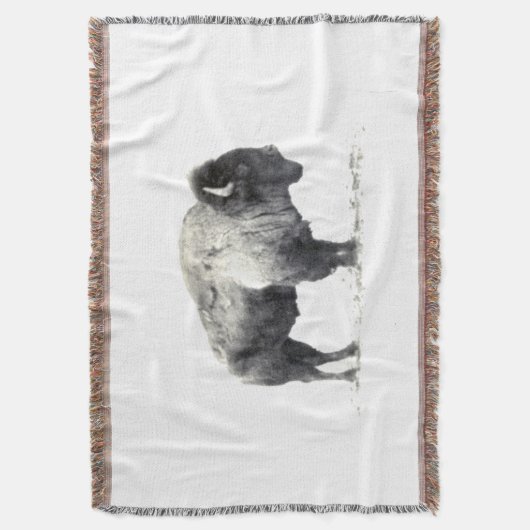 American Bison Decke (Vorderseite Vertikal)