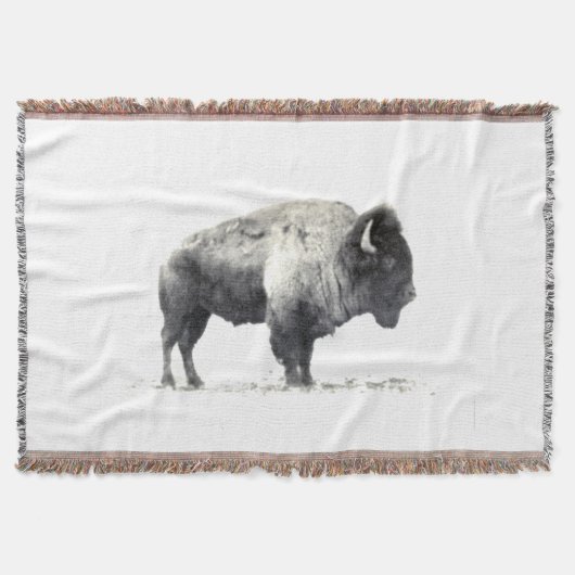 American Bison Decke (Vorderseite)