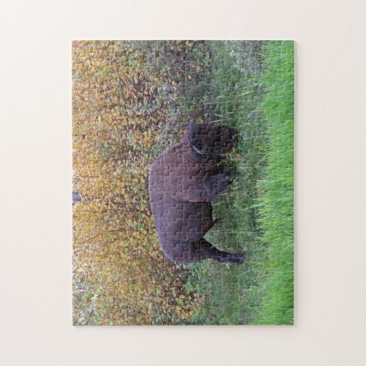 American Bison Design Jigsaw Puzzle (Vertikal)