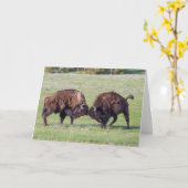 American Bison Faltenkarte Karte (Gelbe Blume)