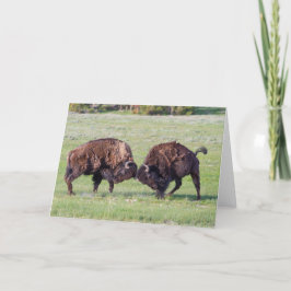 American Bison Faltenkarte Karte