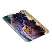 American Bison Family Magnet (Rechte Seite)