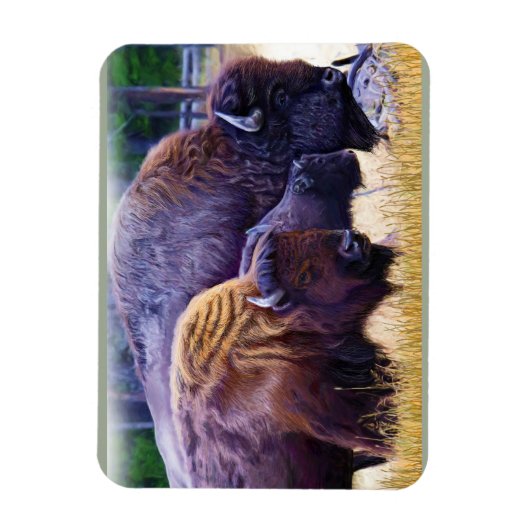 American Bison Family Magnet (Vertikal)