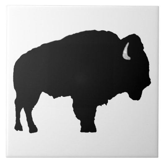 American Bison Fliese (Vorderseite)