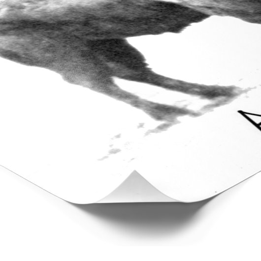 American Bison Fotodruck (Ecke)