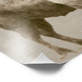 American Bison Fotodruck (Ecke)