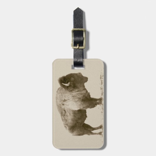 American Bison Gepäckanhänger (Vorderseite vertikal)