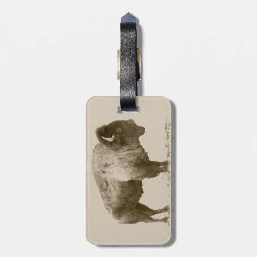 American Bison Gepäckanhänger (Rückseite vertikal)