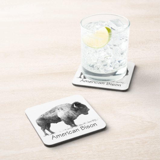 American Bison Getränkeuntersetzer (Rechte Seite)