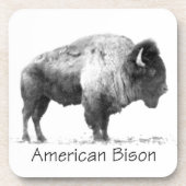 American Bison Getränkeuntersetzer (Vorderseite)