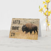 American Bison Grazing in Meadow Grass Fotografy Karte (Gelbe Blume)