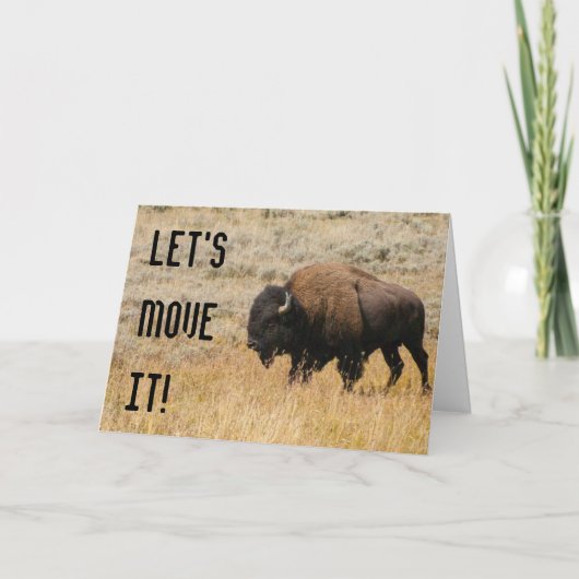 American Bison Grazing in Meadow Grass Fotografy Karte (Vorderseite)