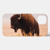 American Bison Herd in Teton 2 Case-Mate iPhone Hülle (Rückseite (Horizontal))