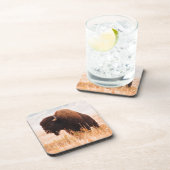 American Bison Herd in Teton 2 Getränkeuntersetzer (Rechte Seite)