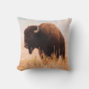 American Bison Herd in Teton 2 Kissen