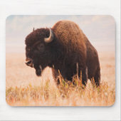 American Bison Herd in Teton 2 Mousepad (Vorne)