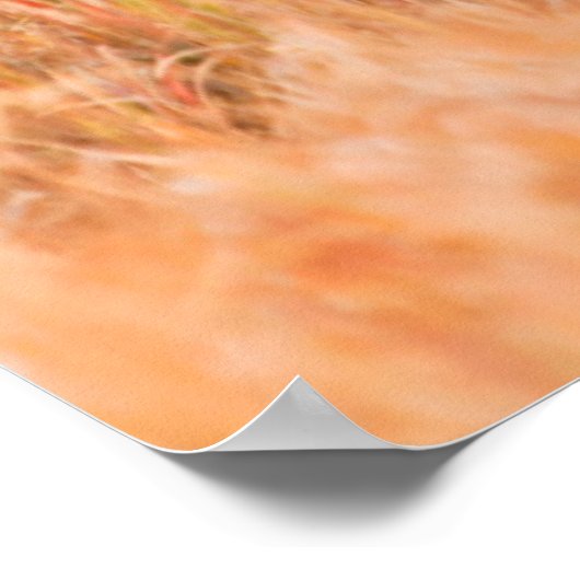 American Bison Herd in Teton 2 Poster (Ecke)