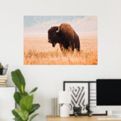 American Bison Herd in Teton 2 Poster (Heimbüro)