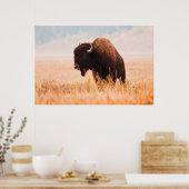 American Bison Herd in Teton 2 Poster (Küche)