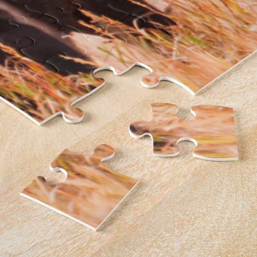 American Bison Herd in Teton 2 Puzzle (Seite)