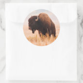 American Bison Herd in Teton 2 Runder Aufkleber (Tasche)