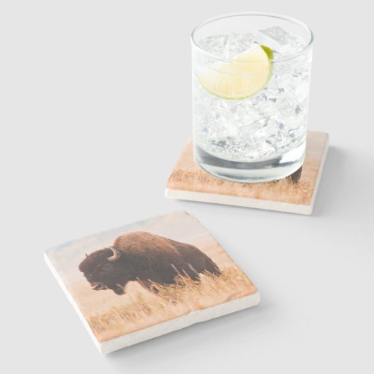 American Bison Herd in Teton 2 Steinuntersetzer (Seitenansicht)