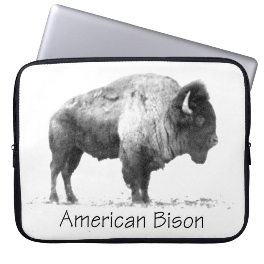 American Bison Laptopschutzhülle (Vorderseite)