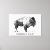 American Bison Leinwanddruck (Vorderseite)