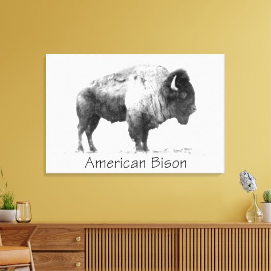 American Bison Leinwanddruck (Insitu (Wohnzimmer))