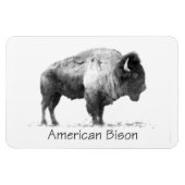 American Bison Magnet (Horizontal)