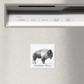 American Bison Magnet (In Situ (Geschirrspüler))