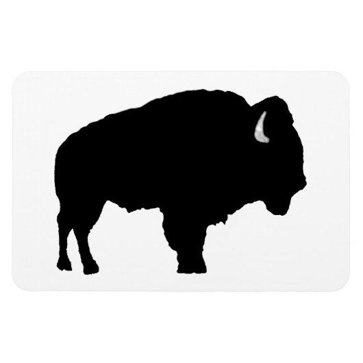 American Bison Magnet (Horizontal)