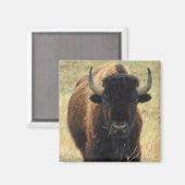 American Bison Magnet (Vorderseite/Rückseite)