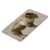 American Bison Magnet (Linke Seite)