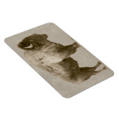 American Bison Magnet (Rechte Seite)