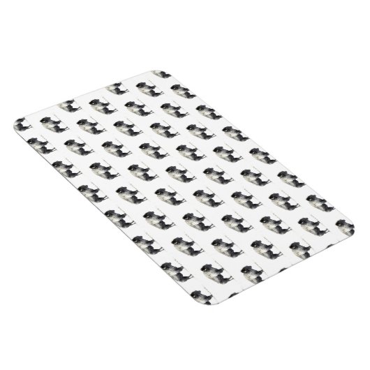 American Bison Magnet (Rechte Seite)