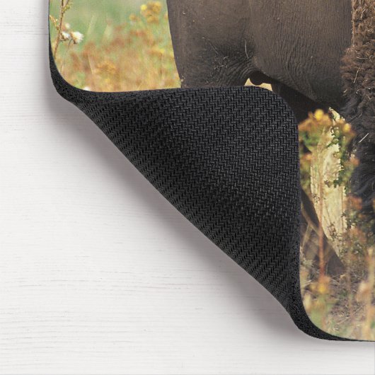 American bison mousepad (Ecke)
