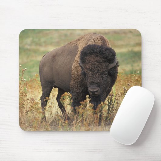 American bison mousepad (Mit Mouse)