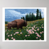 American Bison - "No Time For Blume" Poster (Vorne)