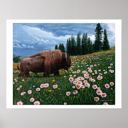 American Bison - "No Time For Blume" Poster (Vorne)
