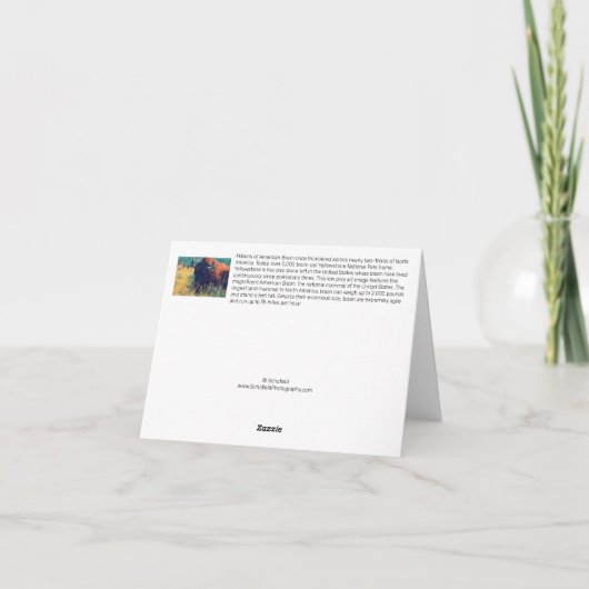 American Bison Note Card Dankeskarte (Rückseite)