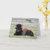American Bison Notecard Karte (Gelbe Blume)