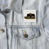 American Bison, oder Buffalo (Bison bison) - Audub Button (Beispiel)