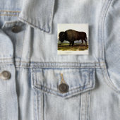 American Bison, oder Buffalo (Bison bison) - Audub Button (Beispiel)