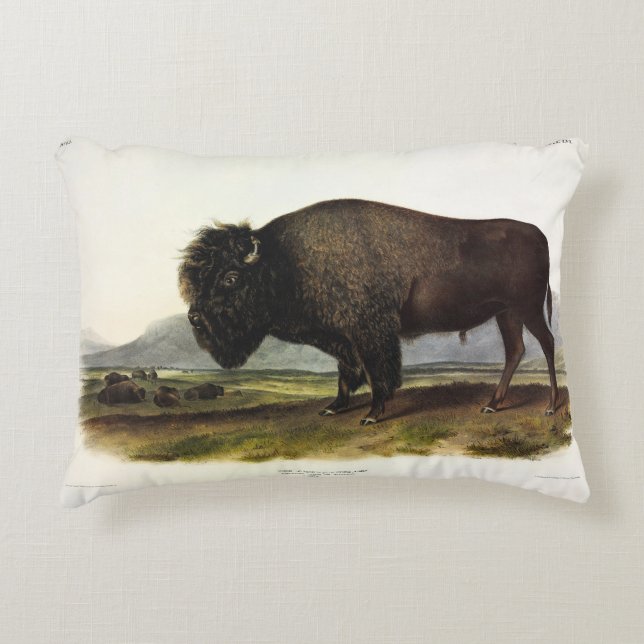 American Bison, oder Buffalo (Bison bison) - Audub Dekokissen (Vorderseite)