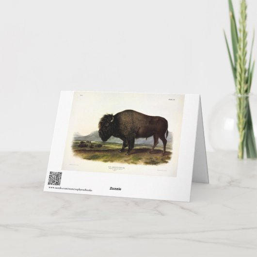 American Bison, oder Buffalo (Bison bison) - Audub Karte (Rückseite)