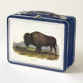 American Bison, oder Buffalo (Bison bison) - Audub Metall Brotdose (Vorderseite)