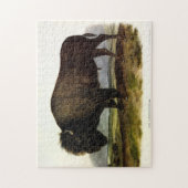 American Bison, oder Buffalo (Bison bison) - Audub Puzzle (Vertikal)