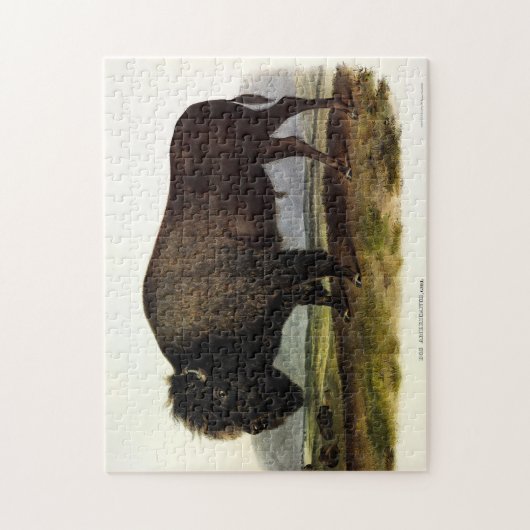 American Bison, oder Buffalo (Bison bison) - Audub Puzzle (Vertikal)